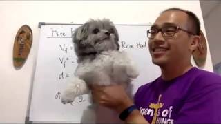 Online Classroom Series: Physics Form 4 2.3 Free Fall 23 March