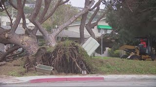 San Diego hit with 12th atmospheric river | Downed trees, Mission Valley flooding