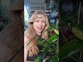 I WON'T STOP TIL I HAVE ALL THE HOUSE PLANTS MWHAH #houseplants #indoorplants #philodendron #plants