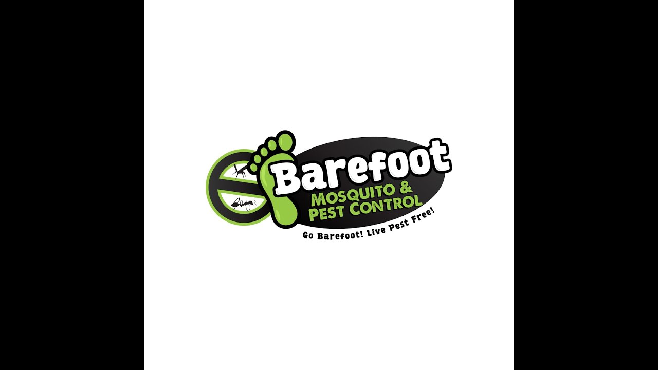 Safe & Effective Pest Solutions