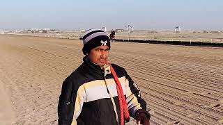 Kuwait Al Ahmadi Horses Racing Club