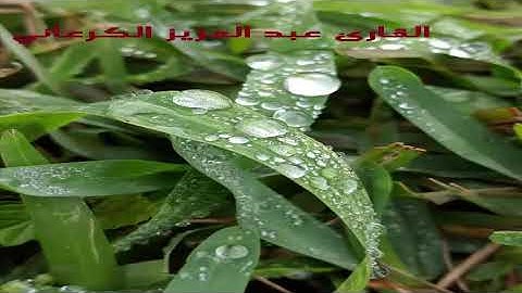 تلاوة رائعة للقارئ عبد العزيز الكرعاني سورة الفاتحة