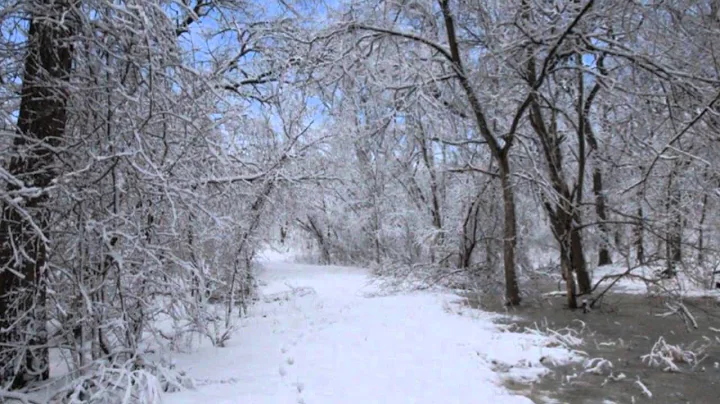 Agnes Halmon-Blanket Of Snow