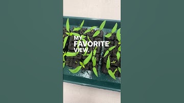 Comment BLOCKER for my soil blocking kits, tools, supplies, and how-to do it