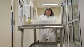 Breaking Down Barriers with Supported Employment