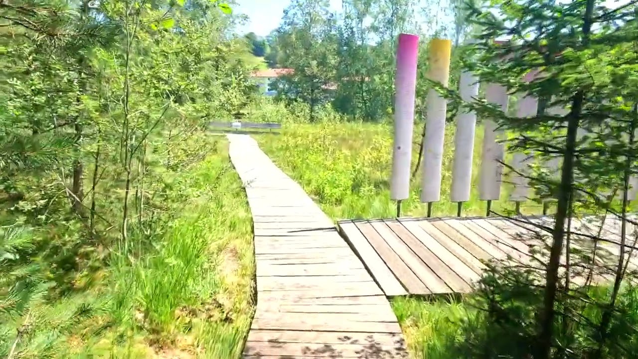 Moorpfad Pfronten Allgäu