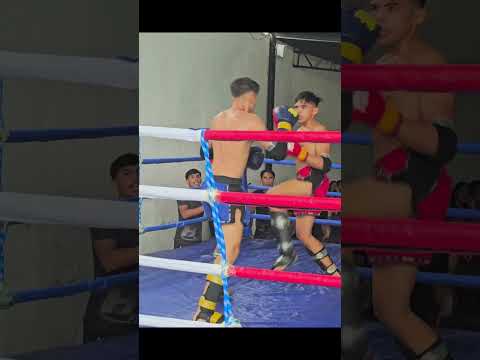 Levi Shines in Muay Thai Semi-Final Showdown