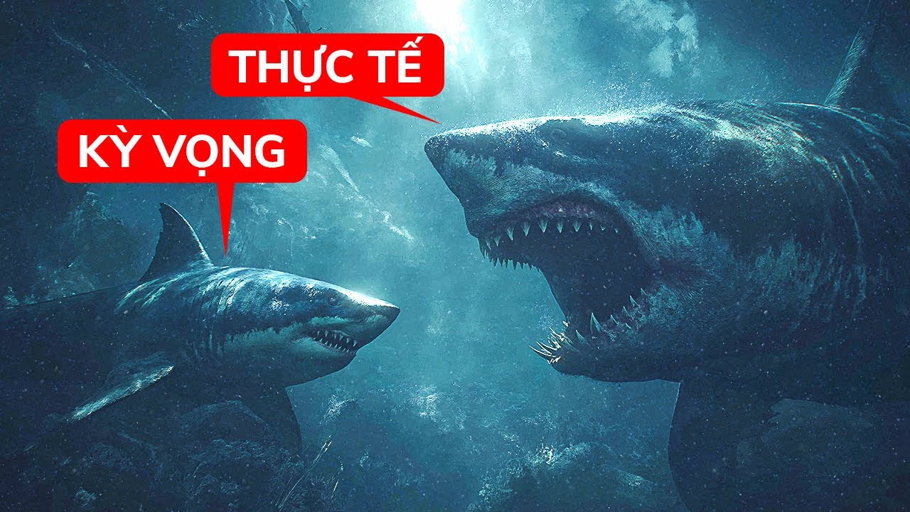 Người da trắng tắm biển đen thì họ sẽ bị gì?