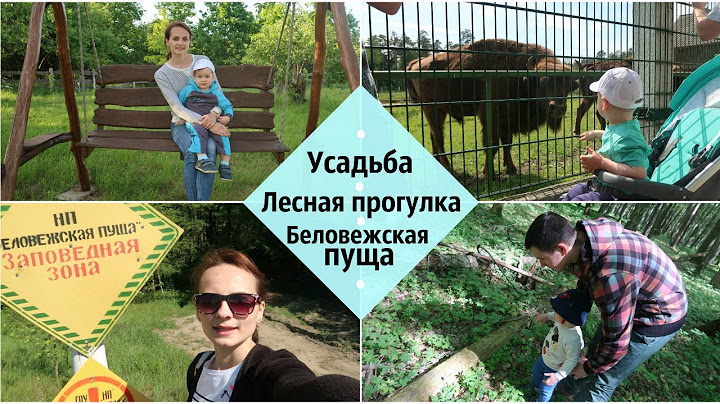 День рождения на УСАДЬБЕ, прогулка с ЛЕСНИКОМ, БЕЛОВЕЖСКАЯ ПУЩА #тимохиныпутешествуют