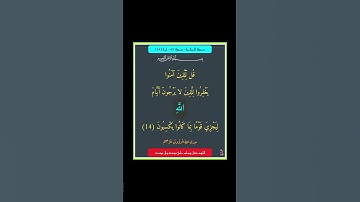 سورة الجاثية - سورة 45 - اية (14)