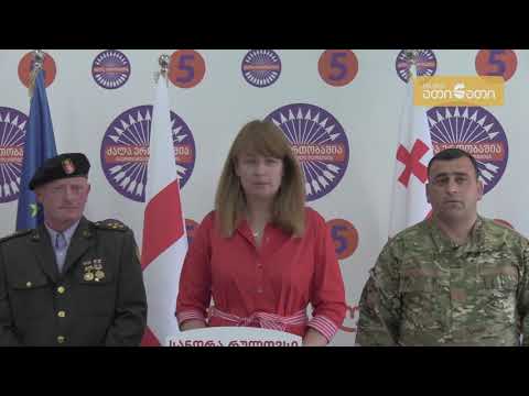სანდრა რულოვსი: ქართული ჯარი არის დარტყმის ქვეშ