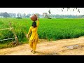 Village life haryana village life amit boss