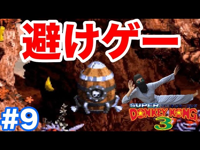 9【スーパードンキーコング3(SFC)】ラストステージで避けゲー化