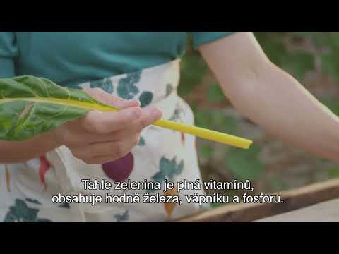 Video: Zelenina odolná voči tieňom – pestovanie zeleniny v tienistej záhrade