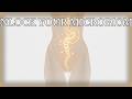 best probiotics for women ph balance and gut health