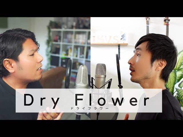 Dry flower - Soft Acoustic Duet Cover by Aizdean u0026 Ko(Japanese Vocal Coach) class=
