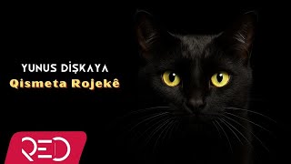 Yunus Dişkaya - Qismeta Rojekê [Official Audio]