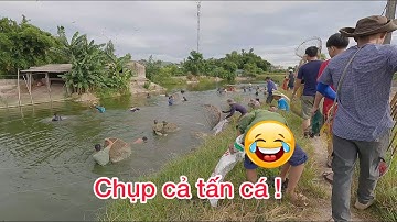 Nơm cá ao trúng cả tấn cá hưng hugo