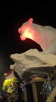 Reog ponorogo 2022#storyWA