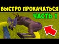 КАК БЫСТРО ПРОКАЧАТЬСЯ до 200 УРОВНЯ в WILDCRAFT ЧАСТЬ 1