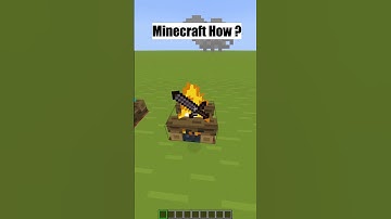 Cactus Destroys Netherite Sword?! Minecraft Logic! #minecraft