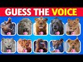рџ Љ Guess The Voice Mufasa The Lion King Movie рџ Ѓрџ Ґ Simba Mufasa Scar Pumba Timon Kiara Taka рџ Љ Guess The Voice Mufasa The Lion King Movie рџ Ѓрџ Ґ Simba Mufasa Scar Pumba Timon Kiara Taka