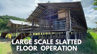 LARGE SCALE SLATTED FLOOR OPERATION || HOW SLATTED FLOOR MAKES YOUR OPERATION MANAGEABLE