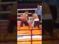 NOCAUT BOXEO PROFESIONAL #boxeoargentino #boxeo #deporte #reels #shortsviral #shortsvideo #mma