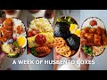 A week husband lunch boxes 39 stew pot corn rice fish cutlet sandwich