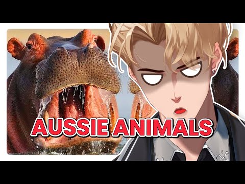 ARACHNAPHOBE reacts to AUSTRALIAS most DANGEROUS ANIMALS - AGAIN | @moreparz REACTION