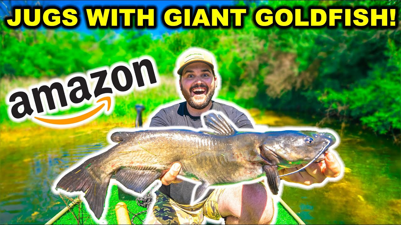 JUG Fishing with Amazon GOLDFISH in the BACKYARD Pond! (Catch Clean Cook) -  YouTube