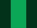 Shamrock Green #shorts