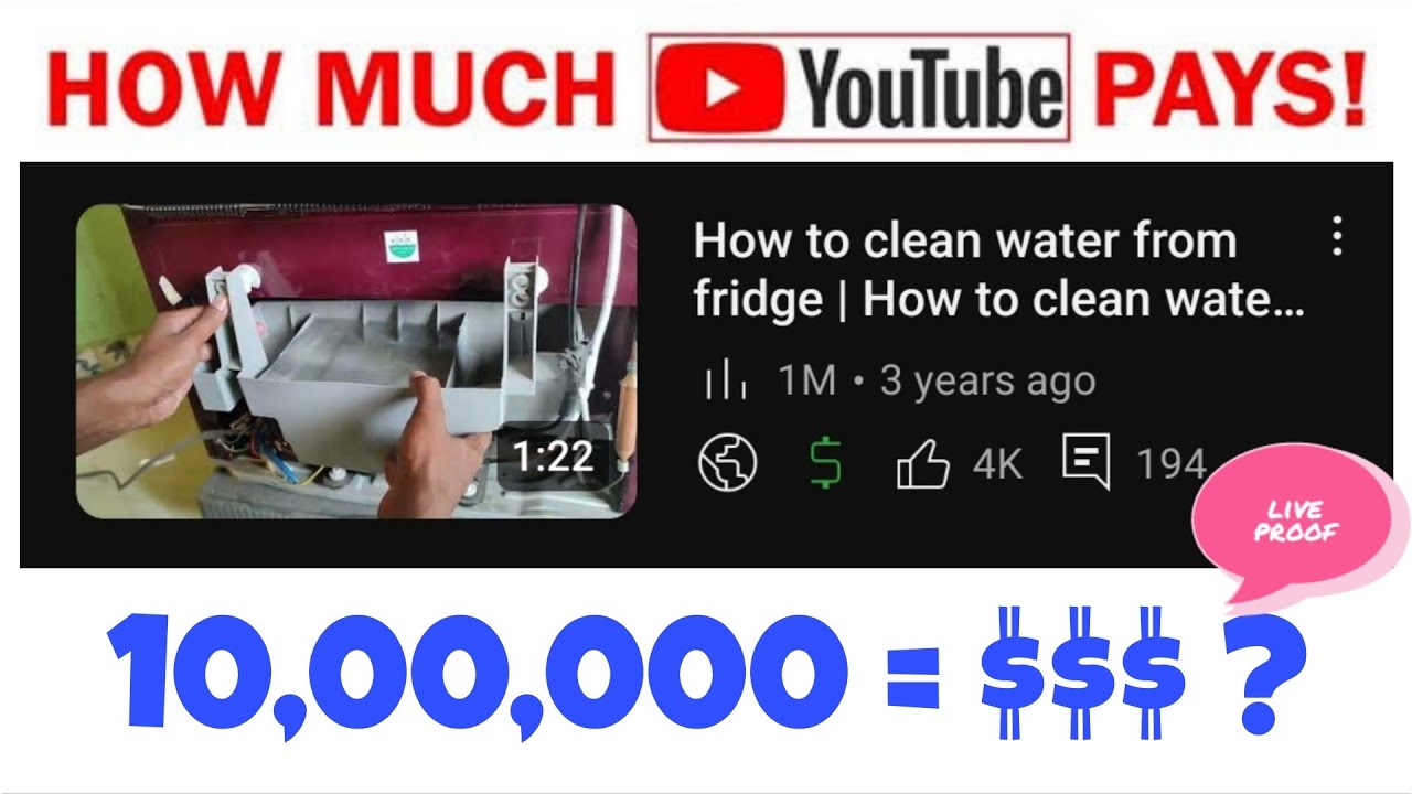 How Much YouTube Paid Me for 1 Million Views ? ( REAL Earnings Revealed ...