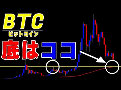 【仮想通貨ビットコイン】大底価格の予想と僕がハイレバ取引所を推奨しない理由。日経バブル崩壊チャートとの比較