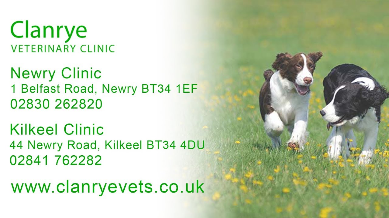 Clanrye Veterinary Clinic, Veterinary Practices in Newry and Kilkeel