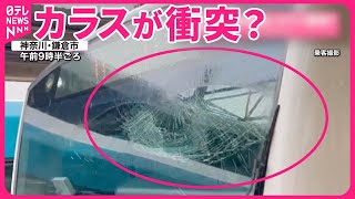 【JR東海道線】運転席のガラスにヒビ