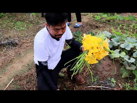 Video: Kalabasa Na May Roquefort Na Keso At Pistachios