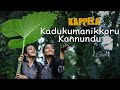 Kadukumanikkoru kannundu  dance cover  team zaya  4k  kappela