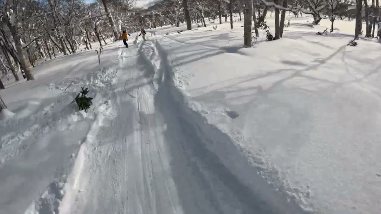 Niseko strawberry fields