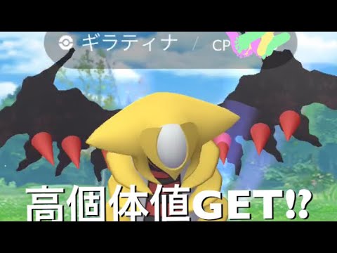 ギラティナ高個体値GET!?[ポケモンGO]