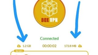 How to set up Box VPN screenshot 5