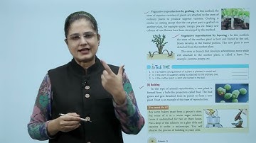 Knowledge Tree Books Science Class 5 Chapter 3