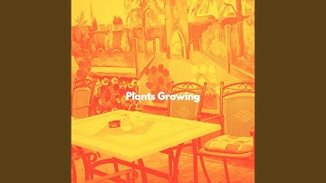 Mysterious Moods for Brave Dreams