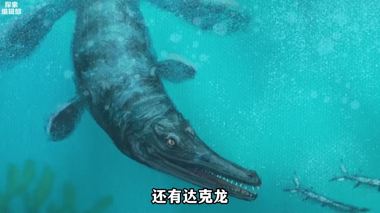统治海洋7500万年的鲨鳄，竟被一个鼻孔缺陷锁死在浅海？#史前巨兽#地蜥鳄#古生物#进化论#科普