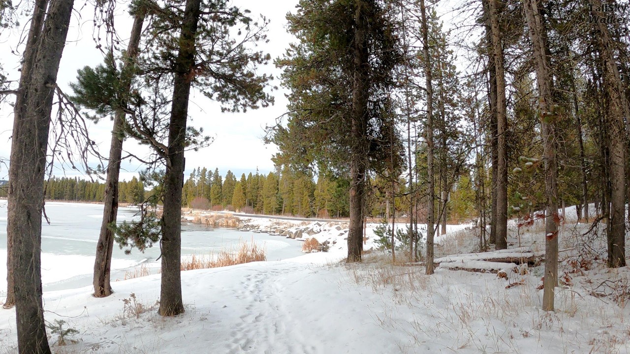 Treadmill Hike: Snowy Silver Lake, Harriman State Park, Idaho (near Yellowstone)