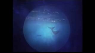 Marooned - Pink Floyd - Live PULSE HQ