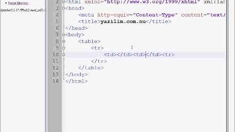 Veri tabanında tablo halinde veri cekme
