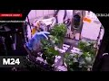 Американские астронавты вырастили на МКС перец чили - Москва 24