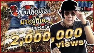 กุชชี่เบลท์ งูมันเลื้อยมาที่เอวของจริง!!! : โซเชียลสนุกจังโว้ย l VRZO