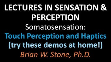 Sensation and Perception - Somatosensation Pt3 - Touch Perception and Haptics (try demos at home!)